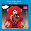 Teddy bear red